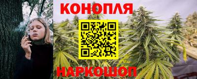 дживик Малгобек