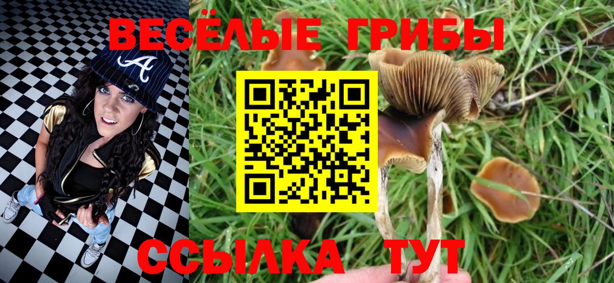 Галлюциногенные грибы ЛСД  Вход с VPN  Жигулёвск 