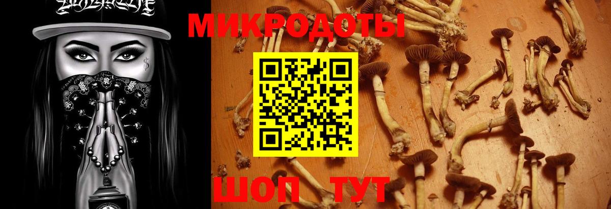 Псилоцибиновые грибы Magic Shrooms Жигулёвск